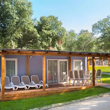 Maistra Polari Mobile Homes 로비니