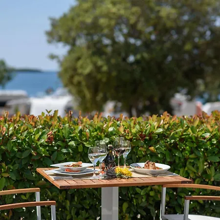 Maistra Polari Mobile Homes Ρόβινι