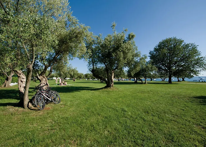 Maistra Polari Mobile Homes Village de vacances 4*